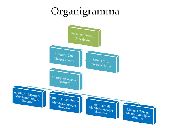 Organigramma